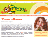 web designer sample for gymnastics school image