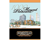 Home Stead presentation folder and insert design sample.