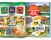 brochure design for import export company sample image