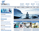 website design for financial industry image