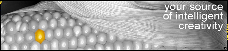 website design company Toronto top image