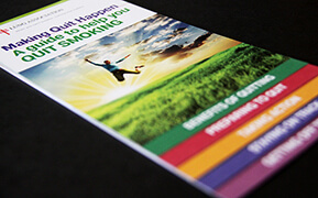 Asthma in Children. Ontario Lung Association and Health Ontario. Brochure Design.