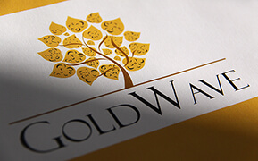 GoldWave. Logo Design. Stationary Development. Retail Booth Wrap-up Design.