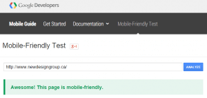 Mobile Friendly Test Success