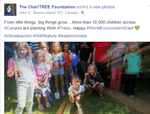 Non Profit Organization Digital Marketing