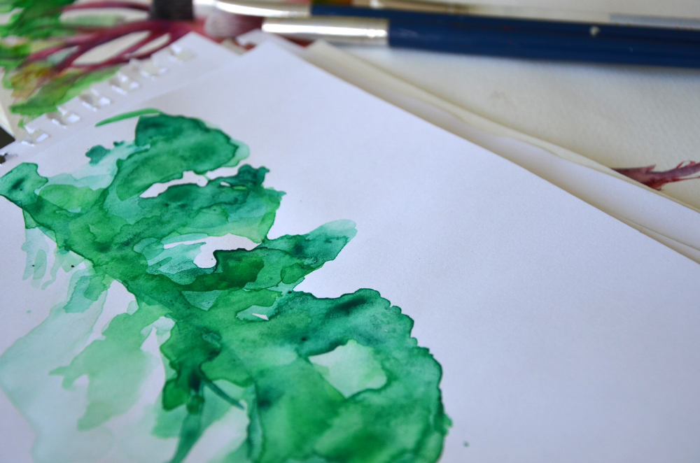 DSC_0337 New Design Group Inc.