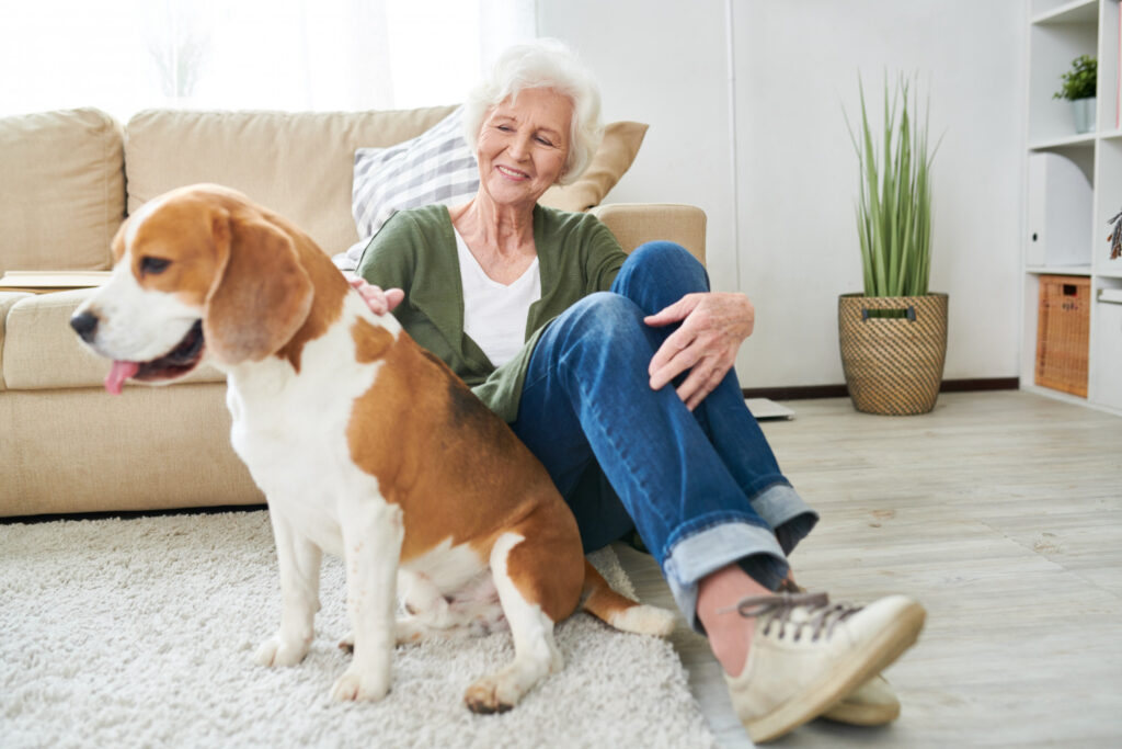 pet sitting or dog walking business for senior