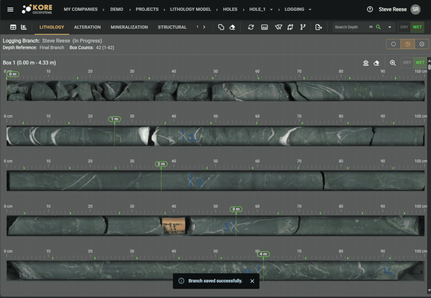 Quick Logging Geological Features